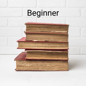 Beginner